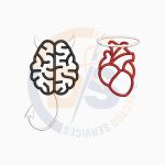 3d puff embroidery designs digitize stitch