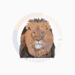 creative-image-embroidery-digitize-stitch