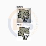 illustrator designer digitize stitch